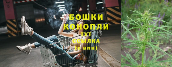 MESCALINE Аркадак