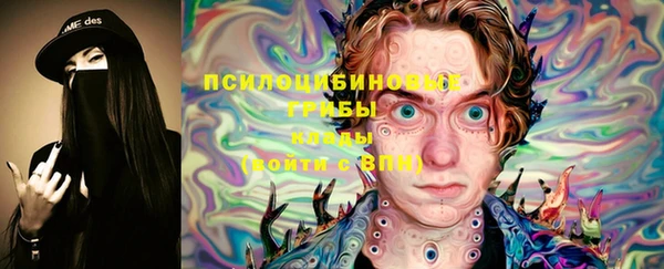 MESCALINE Аркадак
